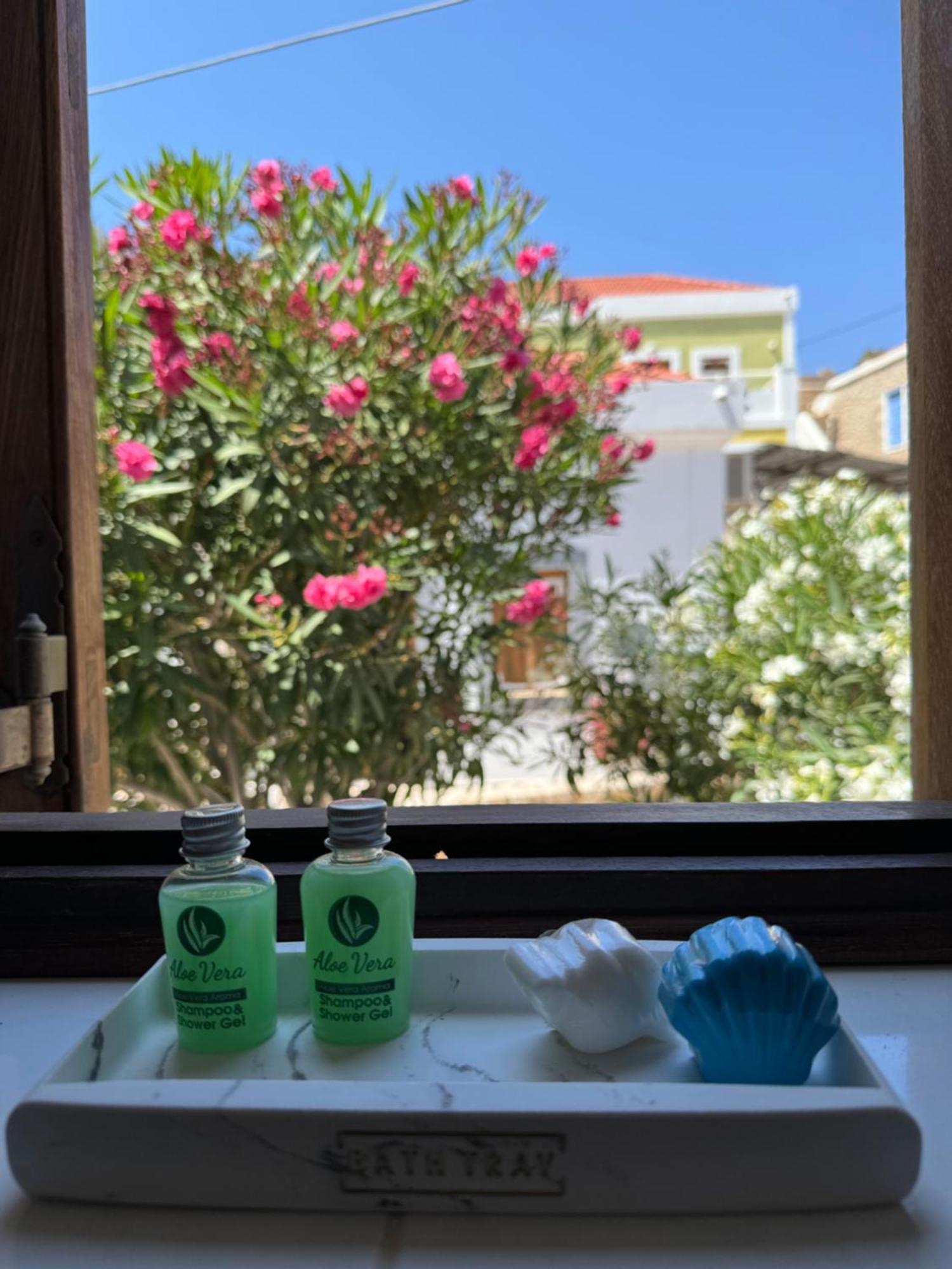 Villa Leleka Chalki Town Extérieur photo